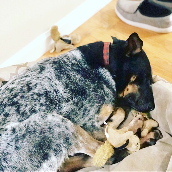 Great closet finds with a fun flirty style. - Picture 4 of 5